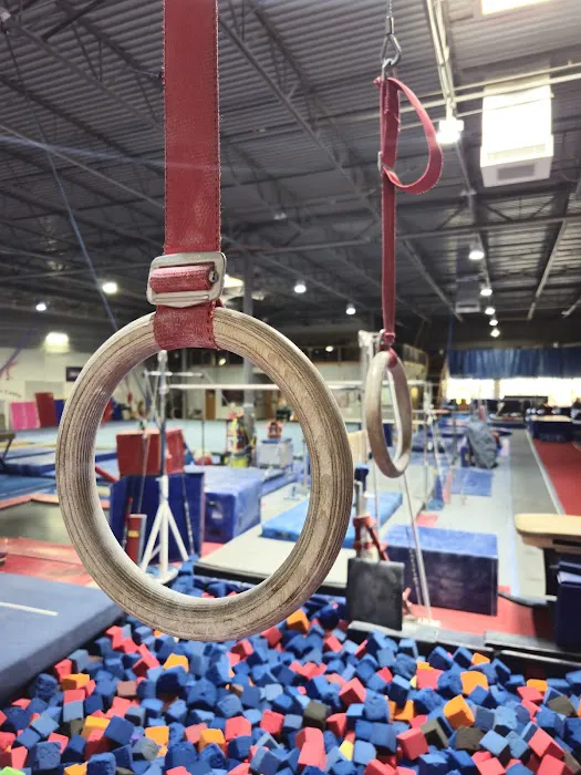 North Metro Gymnastics Center Picture 4
