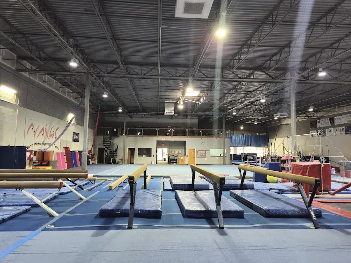 North Metro Gymnastics Center Picture 7