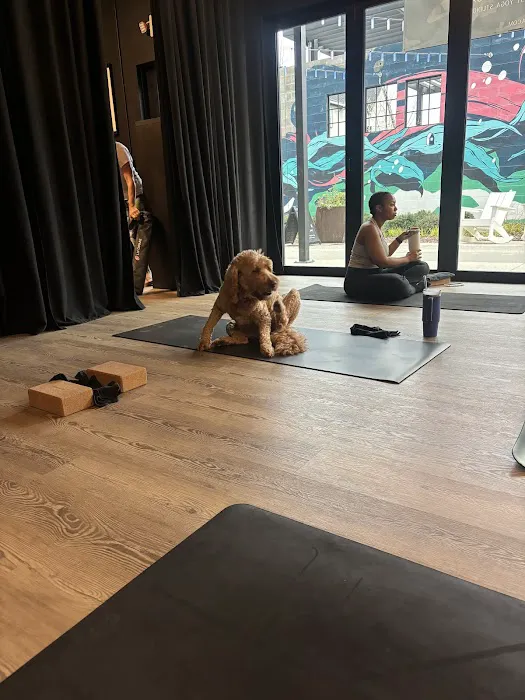 SOZO Yoga Picture 10