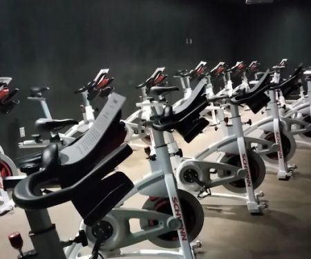 Piedmont Wellness Center