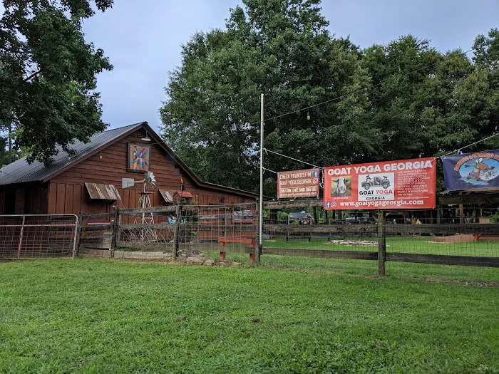 Goat Yoga Georgia Picture 6