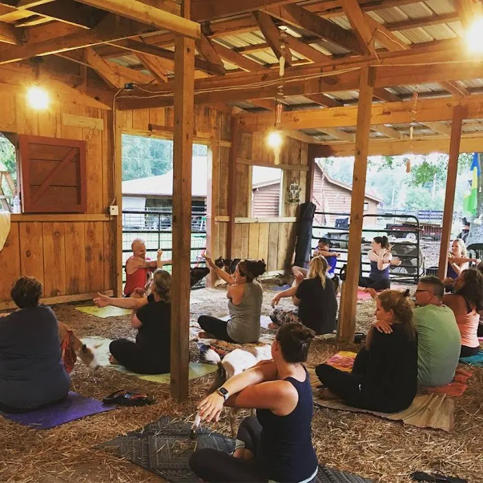 Goat Yoga Georgia Picture 9
