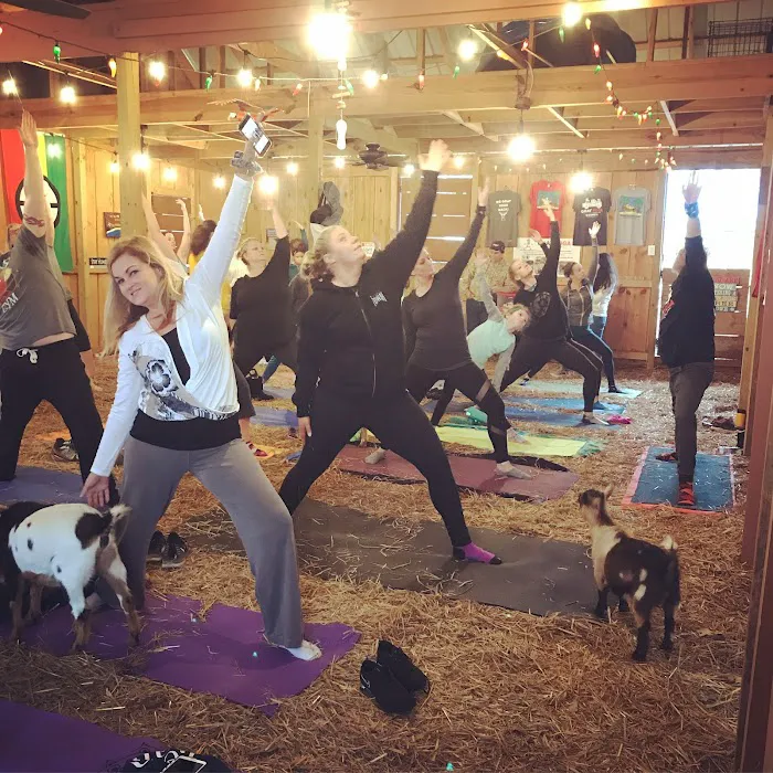 Goat Yoga Georgia Picture 10