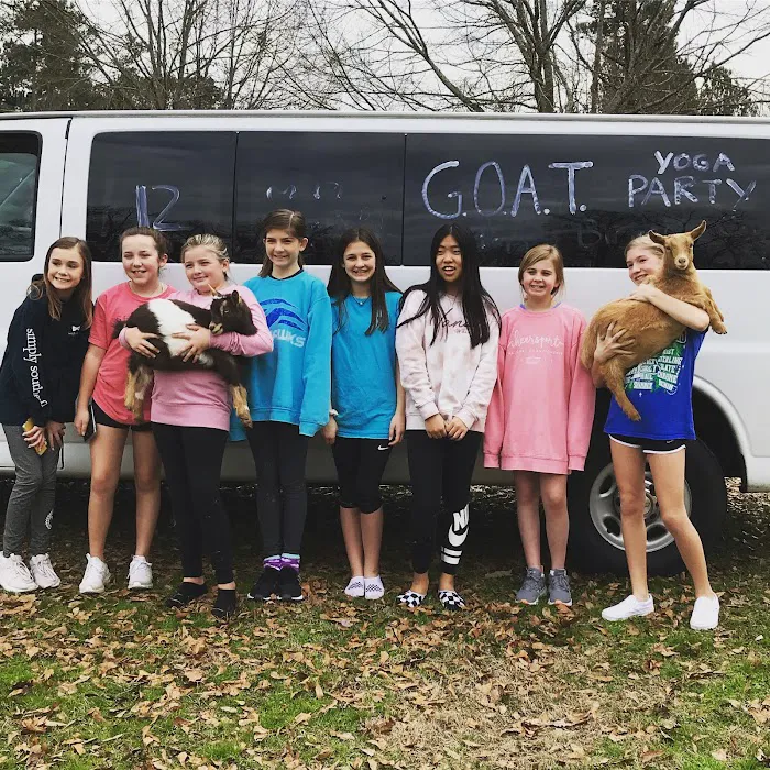 Goat Yoga Georgia Picture 2