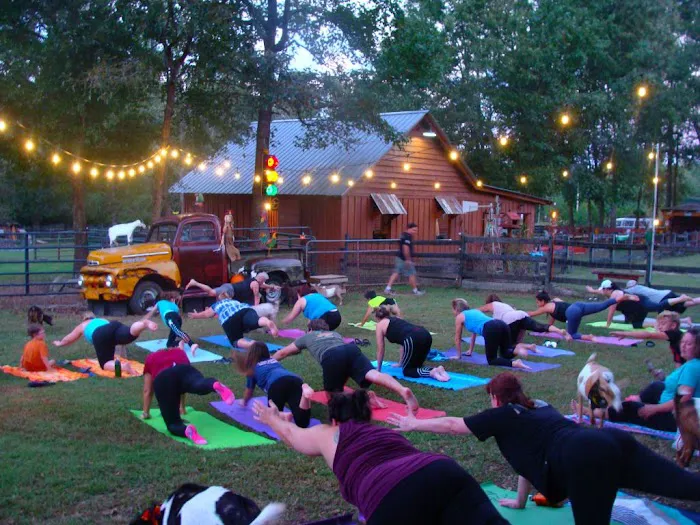 Goat Yoga Georgia Picture 3