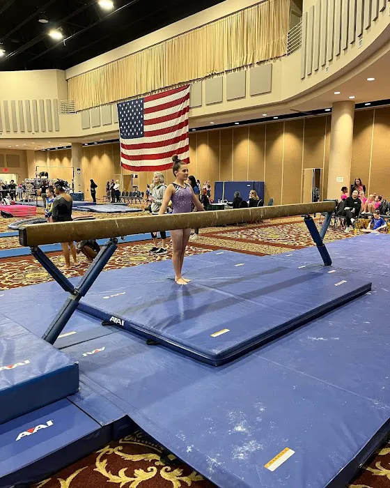 Georgia All-Star Gymnastics Picture 10