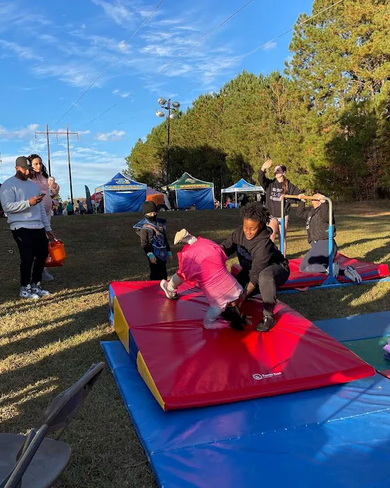 Georgia All-Star Gymnastics Picture 3