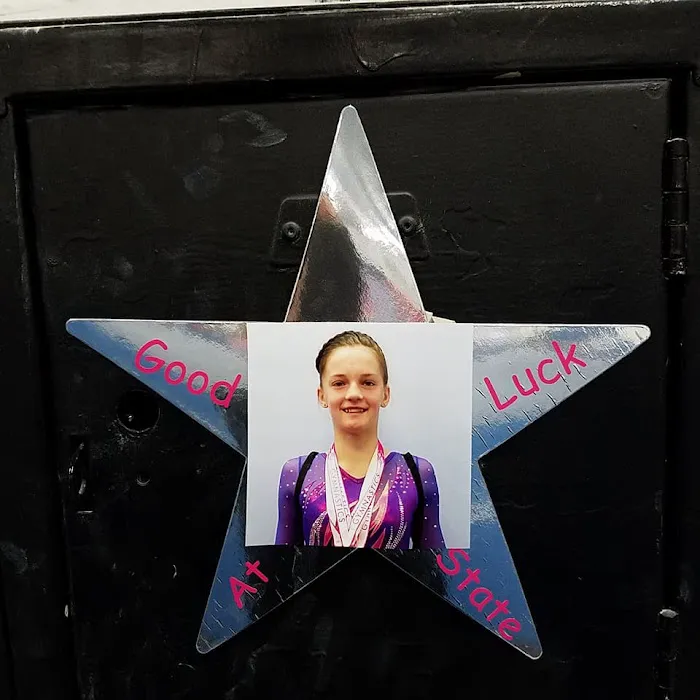 Georgia All-Star Gymnastics Picture 9