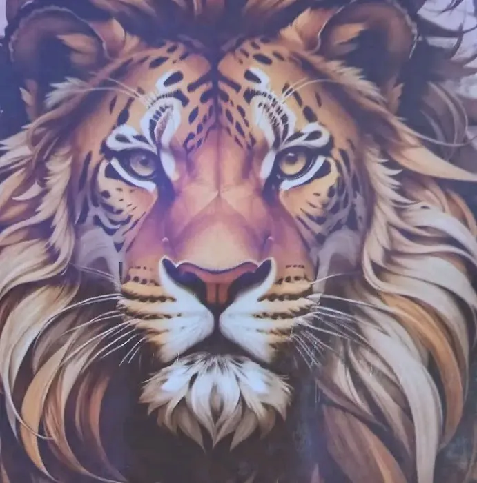 LA Fitness Picture 5