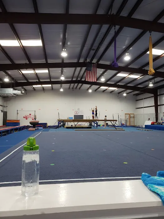 Defying Gravity Activity Center Picture 7