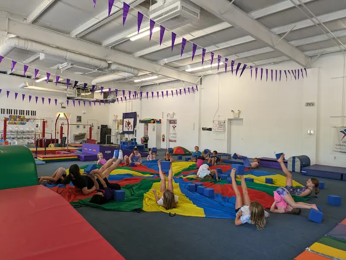 Central Gymnastics Academy Picture 6