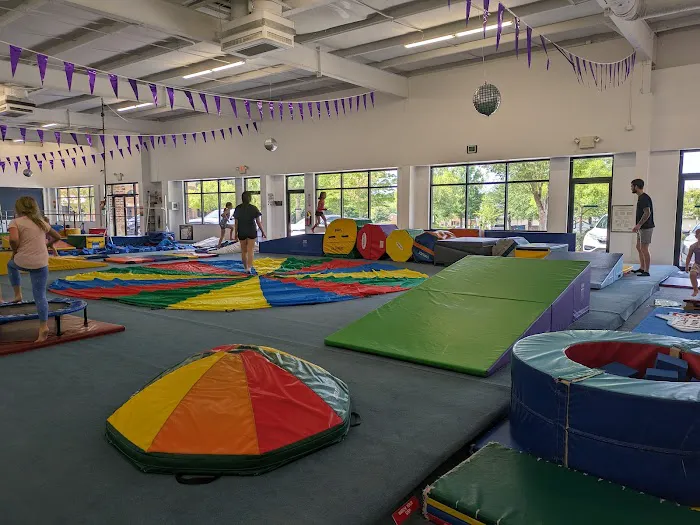 Central Gymnastics Academy Picture 3