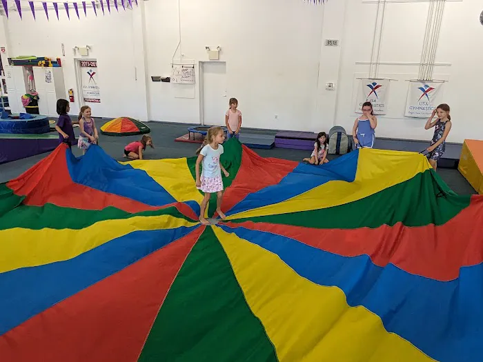 Central Gymnastics Academy Picture 2