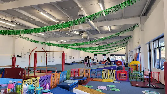 Central Gymnastics Academy Picture 7