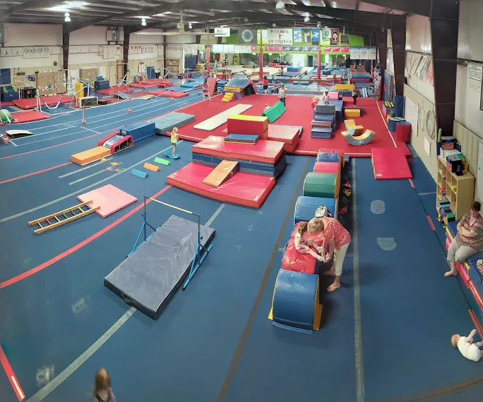 Paulding Gymnastics Picture 7