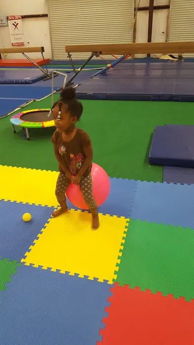 GymTech Youth Gym Sports Picture 2