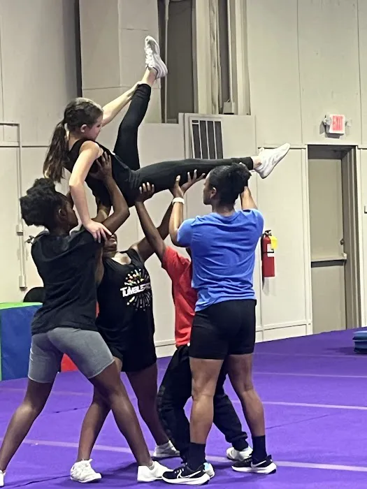 Tumble Pros Picture 2