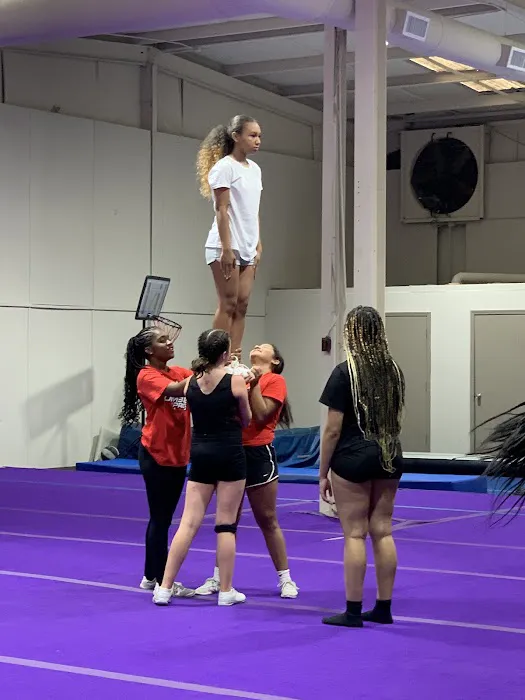 Tumble Pros Picture 6