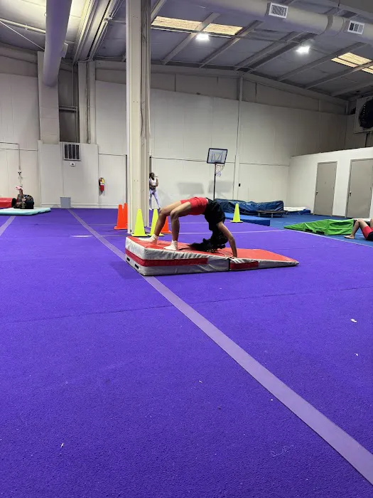 Tumble Pros Picture 5