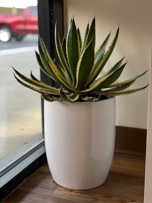 Wyld Roots Yoga & Wellness Picture 5