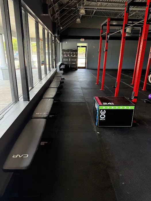 Forza Academy Picture 3