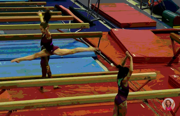 Gymnastics Academy of Atlanta Picture 6