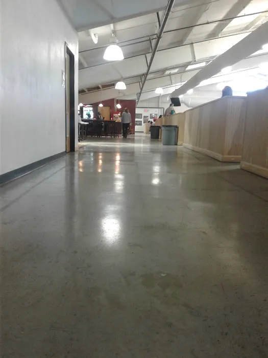 Gymnastics Academy of Atlanta Picture 10