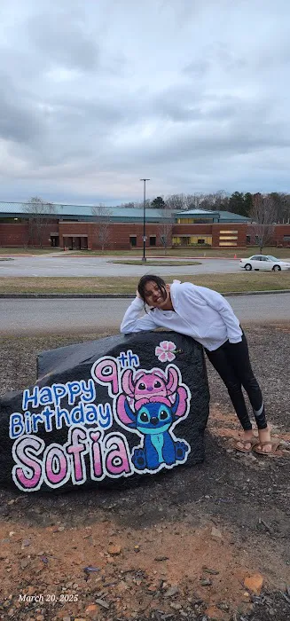Gymnastics Academy of Atlanta Picture 8