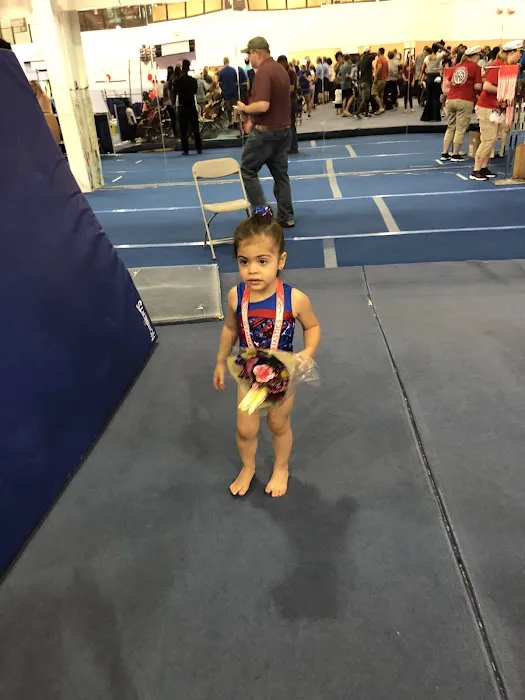 Gymnastics Academy of Atlanta Picture 3