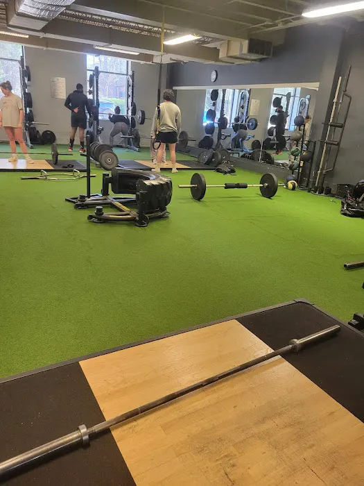 Onelife Fitness Commerce Picture 2