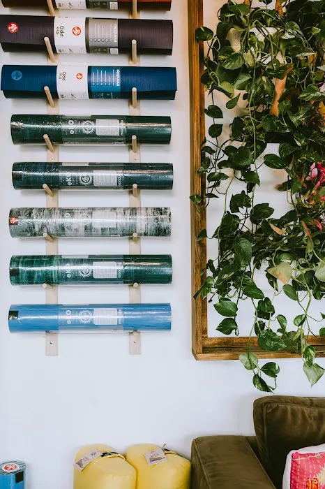 The Yoga Lounge Picture 3