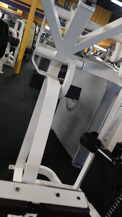 Walton Athletic 24 Picture 8