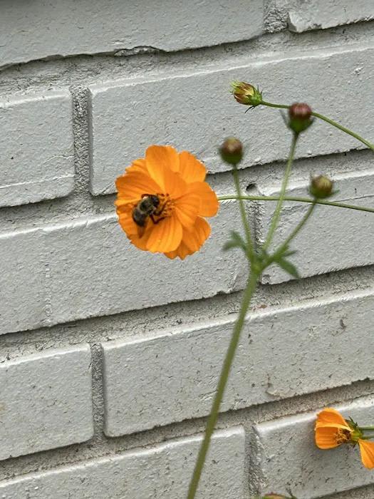 World of Gymnastics & Cheer Picture 2