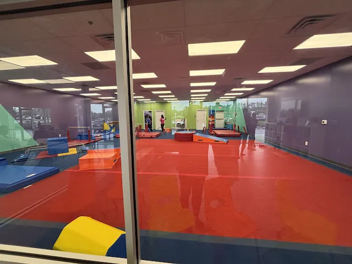 The Little Gym of Kennesaw, GA Picture 4