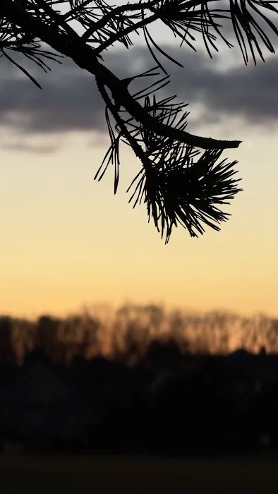 24th Gun Battery Trailhead Picture 3