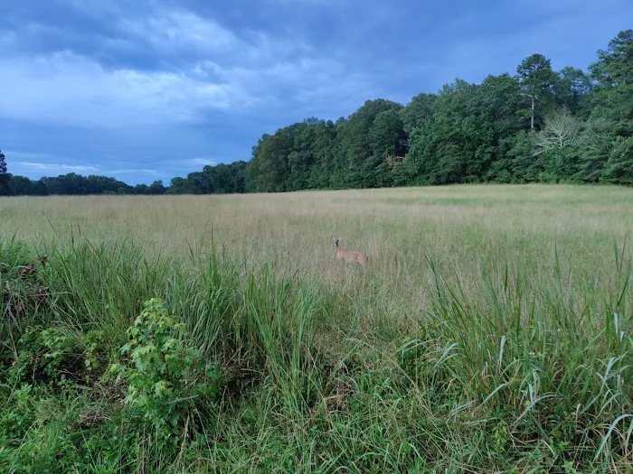 24th Gun Battery Trailhead Picture 5