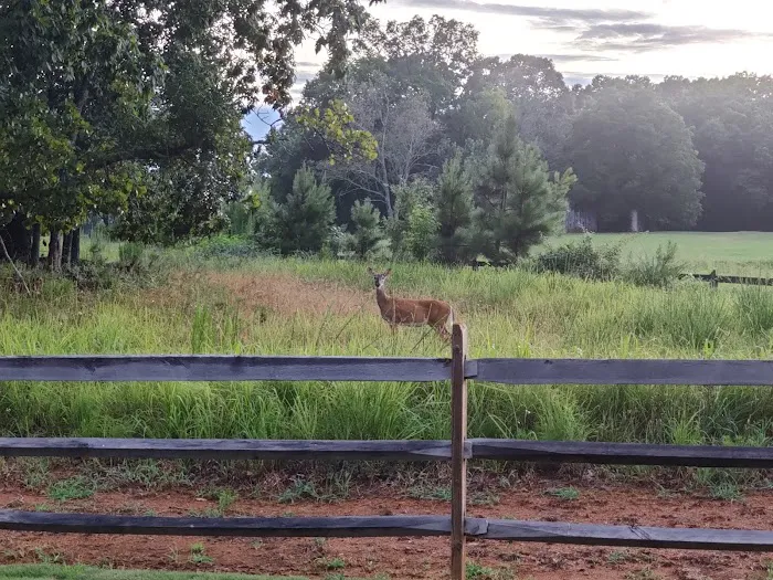 24th Gun Battery Trailhead Picture 1
