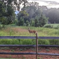 24th Gun Battery Trailhead ico