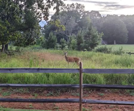 24th Gun Battery Trailhead