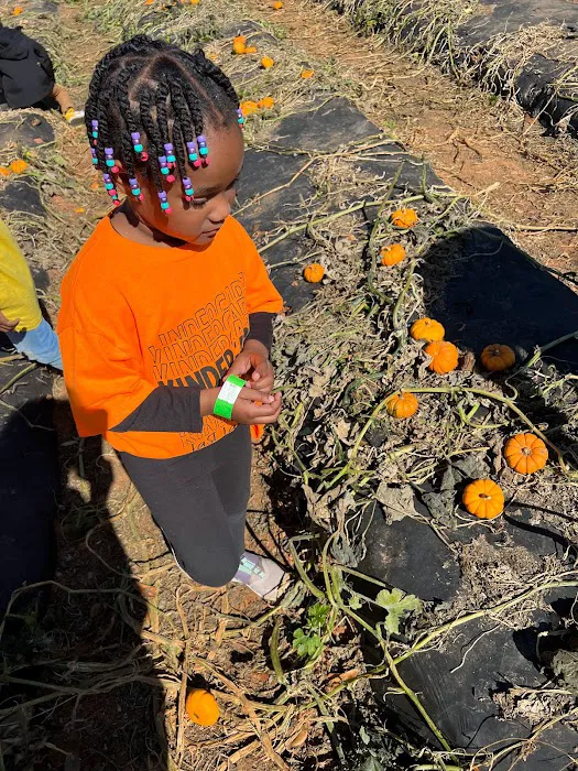 Rowe Fitness Solutions Picture 10