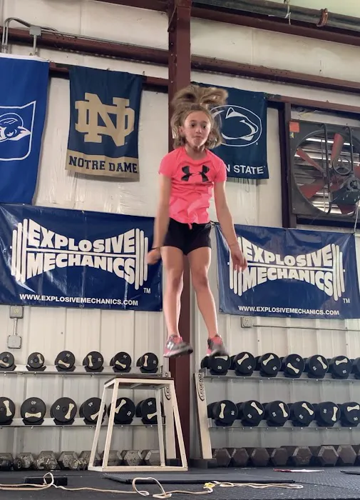 Explosive Mechanics Picture 1