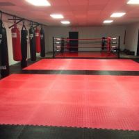 Hart Fit Kickboxing & Muay Thai ico