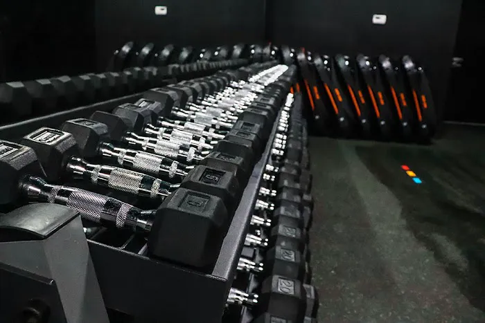 Twisted Cycle Acworth Picture 2