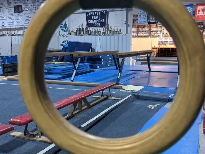 Newnan School of Gymnastics Picture 1