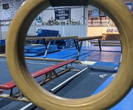 Newnan School of Gymnastics