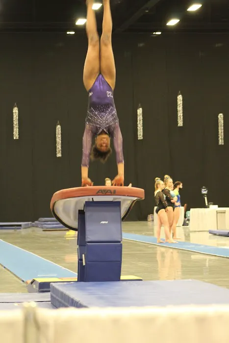 Newnan School of Gymnastics Picture 2