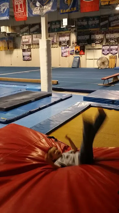 Newnan School of Gymnastics Picture 9