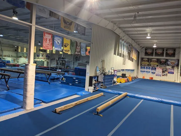 Newnan School of Gymnastics Picture 8