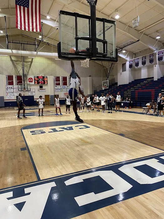 Wildcat Gym Picture 8