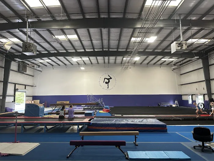 Georgia Spirit Gymnastics Academy Picture 9